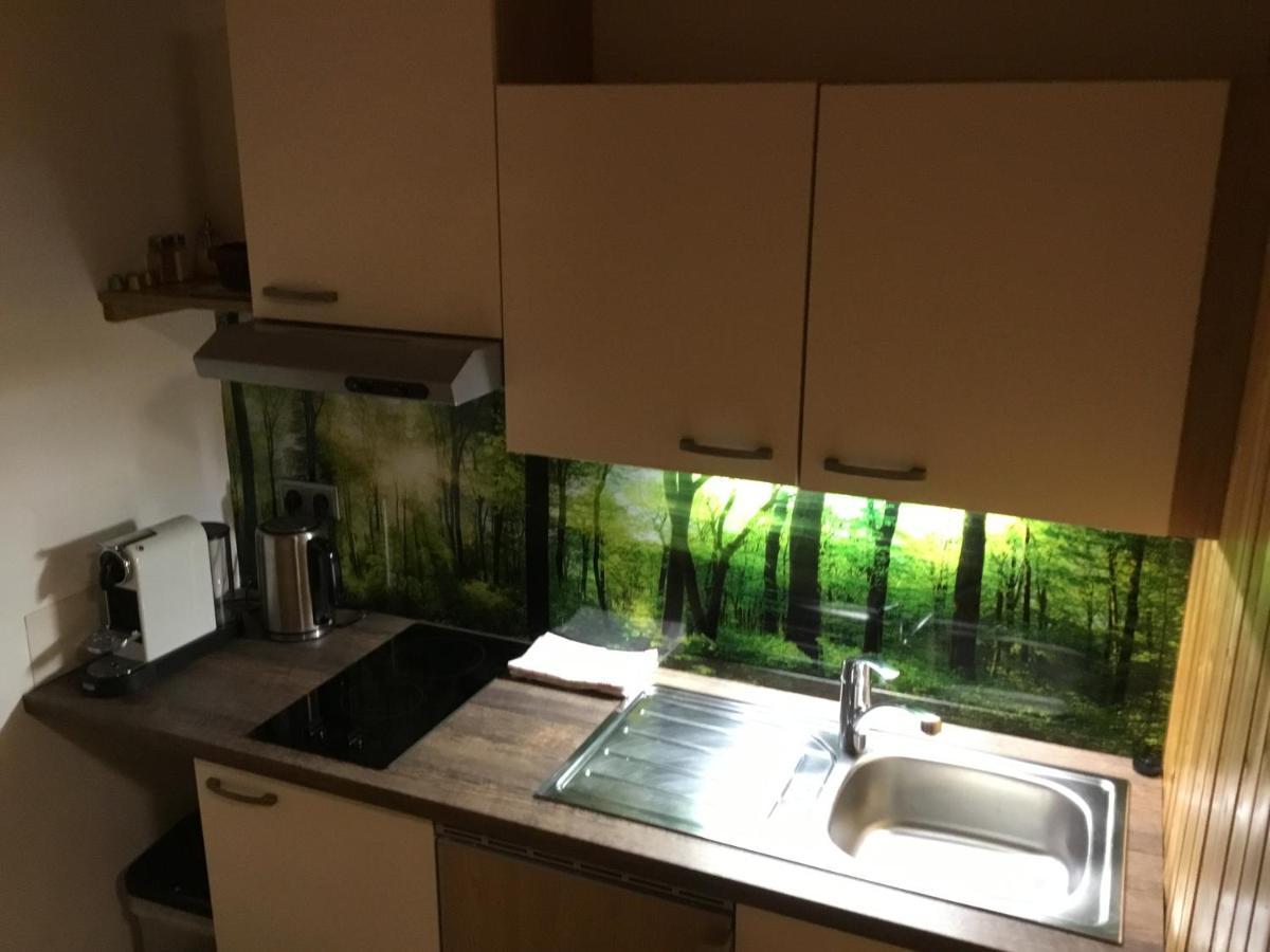 Ferienwohnungen Aigner Haus im Ennstal Exterior foto